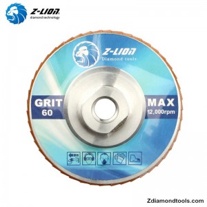 ZL-WMCY02 aluminium 5 tommer diamantslibeskiver med gevind