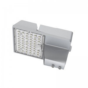 80W 100W Galaxy LED Gade lys