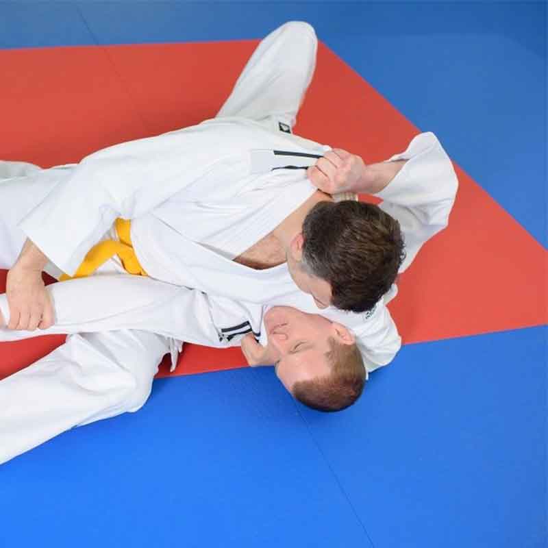 Professionel wrestling, officielt designeret tæppetæppe (ACF)