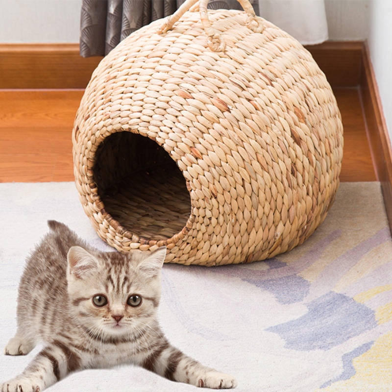 Kæledyrsbed \/ seng