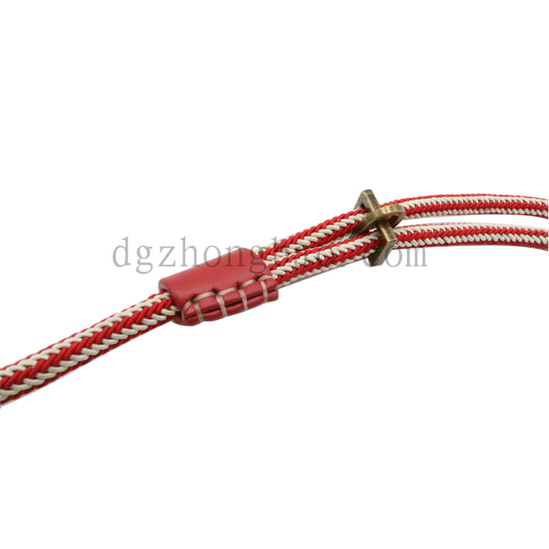 Flettet, integreret, reb, reb, kæledyr, bly reb