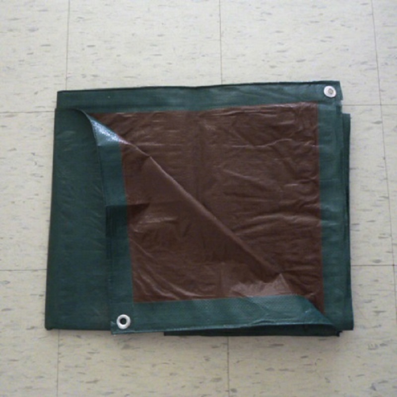 Plast presenning Plasttræ Klar Poly Tarp