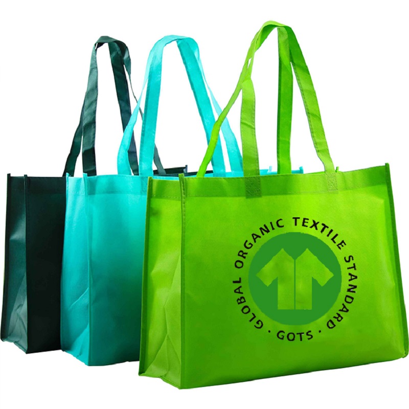 SG66 Environmental Friendly Shopping Bag Special Printing Standard Size Cotton Tote Bags