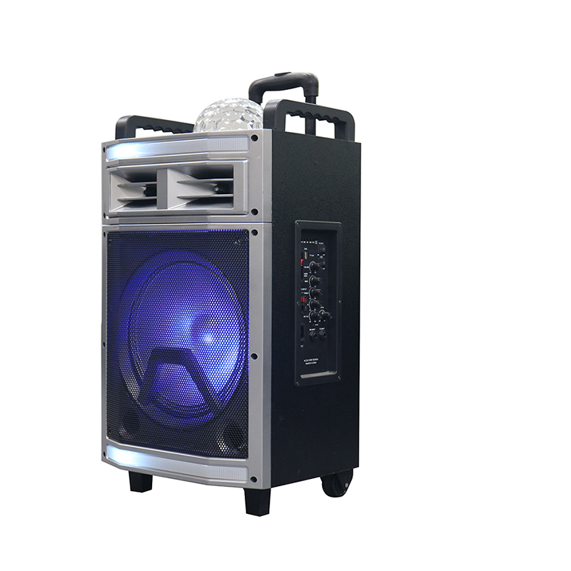 Trollryhøjttaler Y-B22-12H