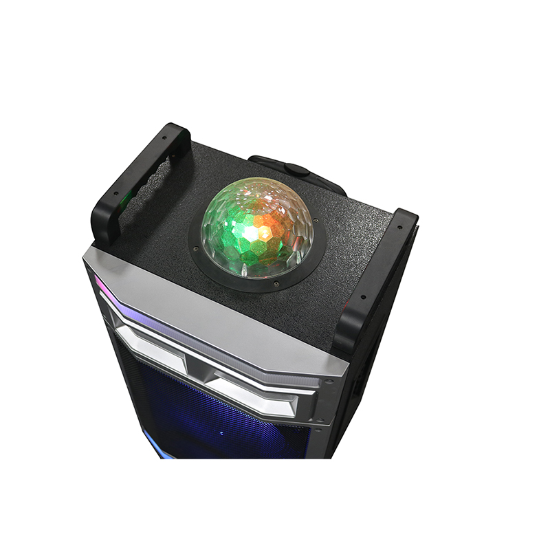 Trollryhøjttaler Y-B22-12H