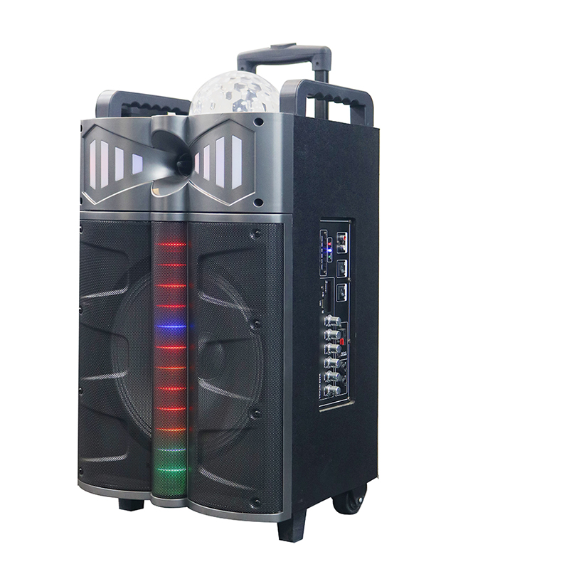 Trollryhøjttaler Y-DJ1201-12H