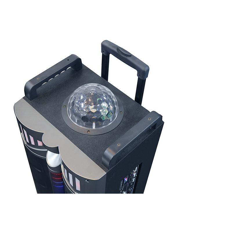 Trollryhøjttaler Y-DJ1201-12H