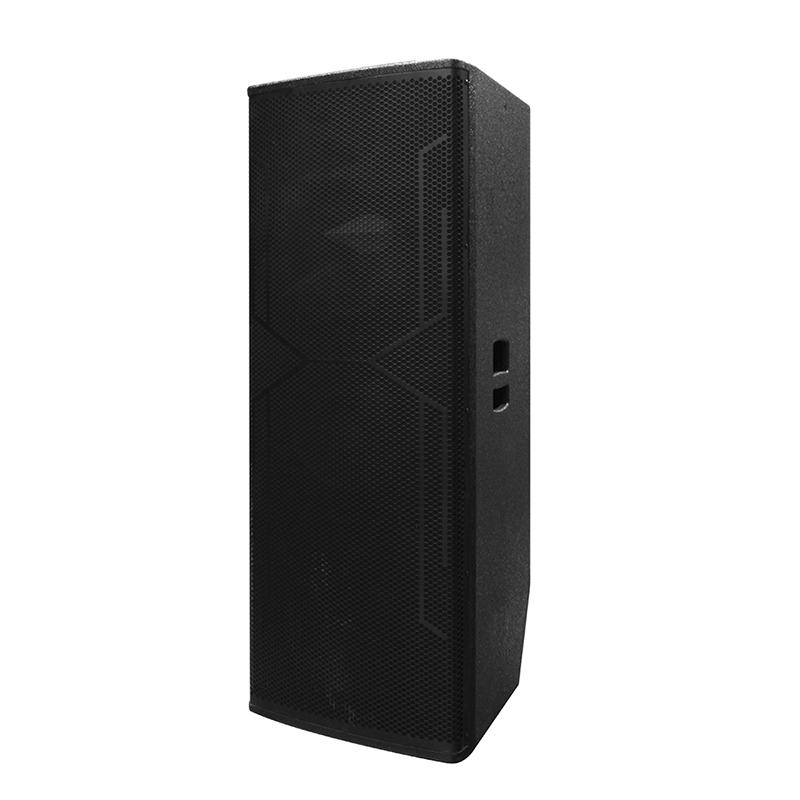 Stor DJ-højttaler Y-450DH