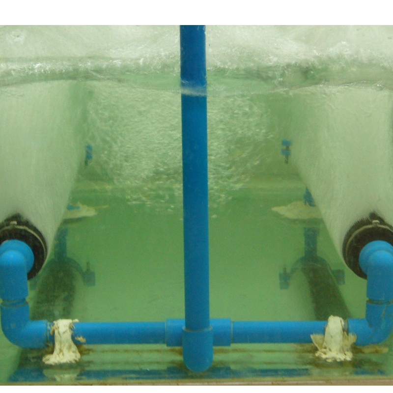 Behandling af spildevand fra sukkermøller