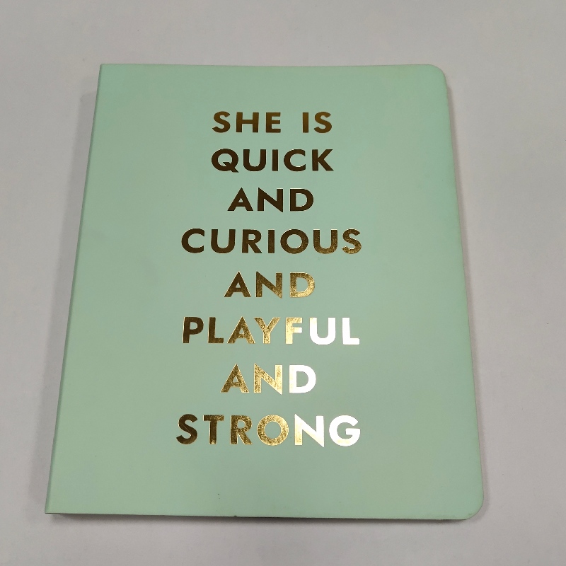 notesbog til indbinding af coils med guldstempling af retro-dagbogshæfte