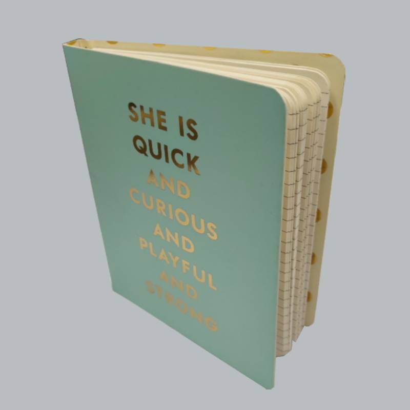 notesbog til indbinding af coils med guldstempling af retro-dagbogshæfte