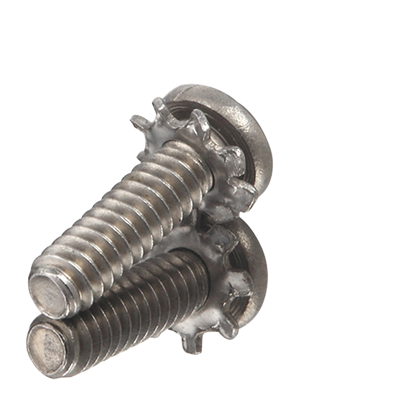 A2 Rustfrit stål Pan Head Cross Recess Ekstern tandskive Blomsterskive skruer