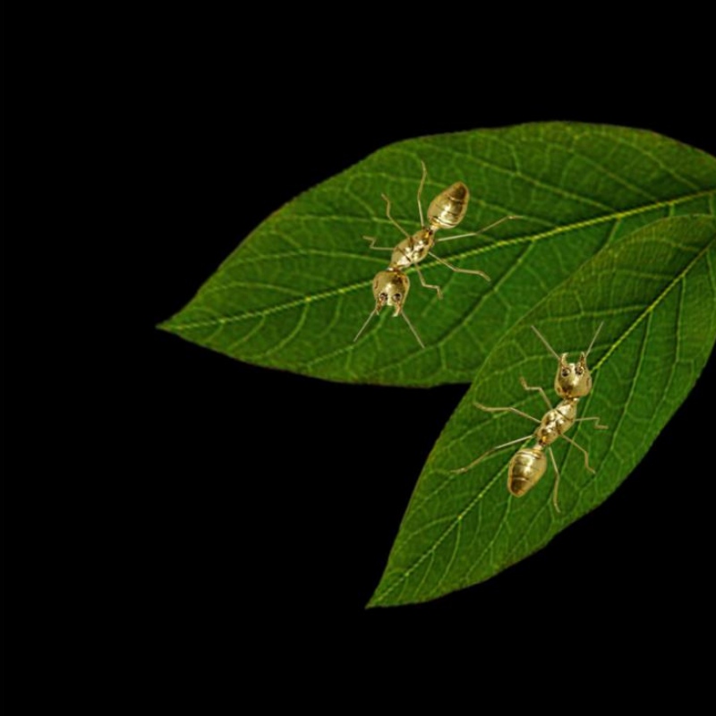 Fabriks direkte salg kreativt moderne retrolys guld af luksus metal udsmykning af boligdekorationsgenstande