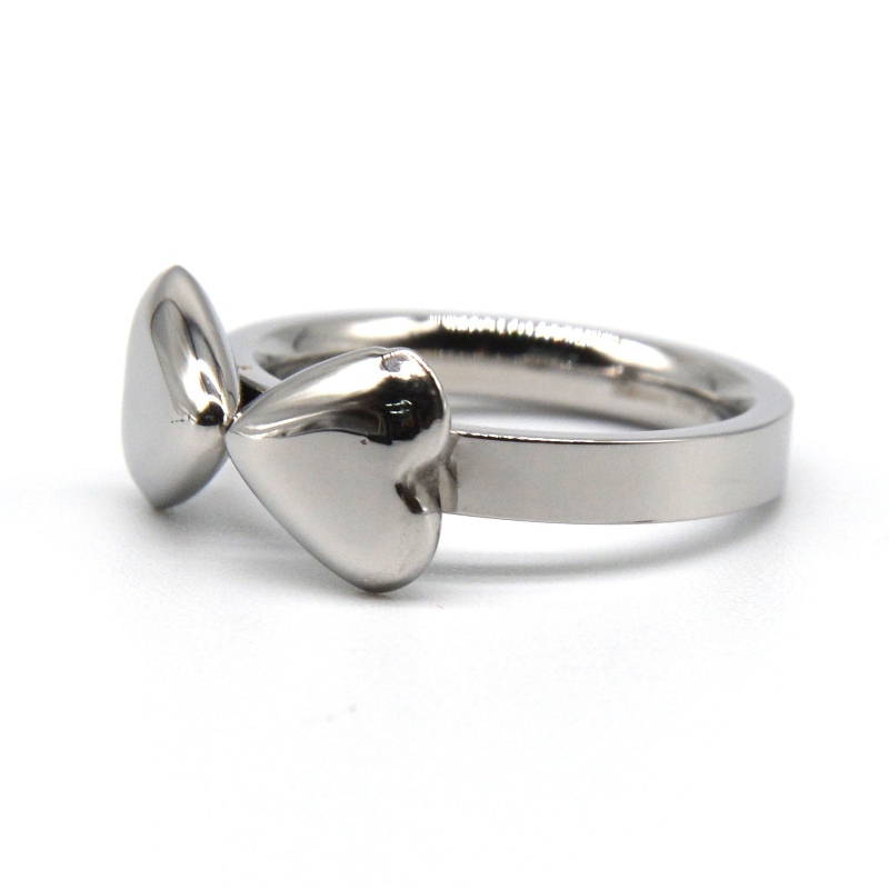 Ringen af rustfrit stål rfbrg0166