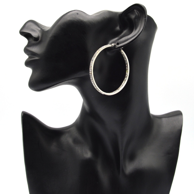 Møg, smykker af rustfrit stål, øreringe af rustfrit stål, diamantøreringe, rhinestoner, Zircon Hoop Earringe rfber0095