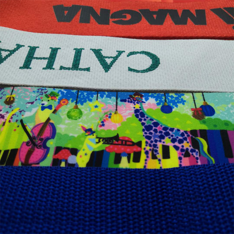 Factory direkte salg Dobbeltsidet silkebagage bånd med hot transfer bagage bælte jacquand bagage sele fortykning af brugerindstilling