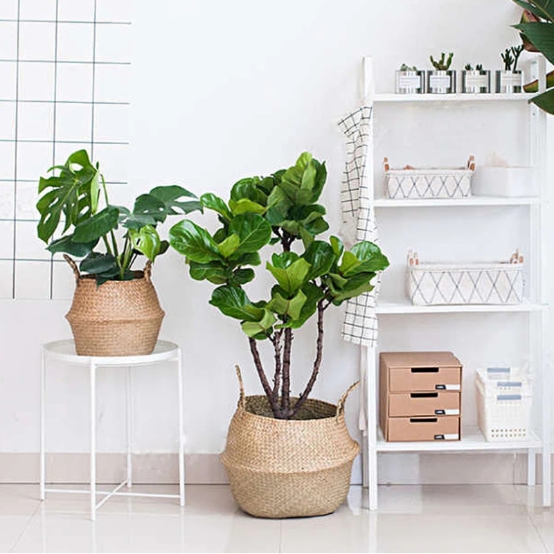 Vævet havgræs mavekurv til opbevaring af blomsterpottebuksestand