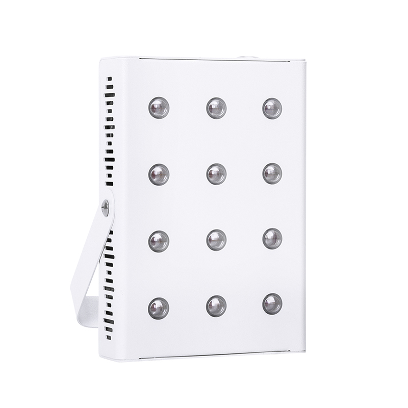 RD60 Bærbar Red Light Terapi Brug billig Red Light Terapi