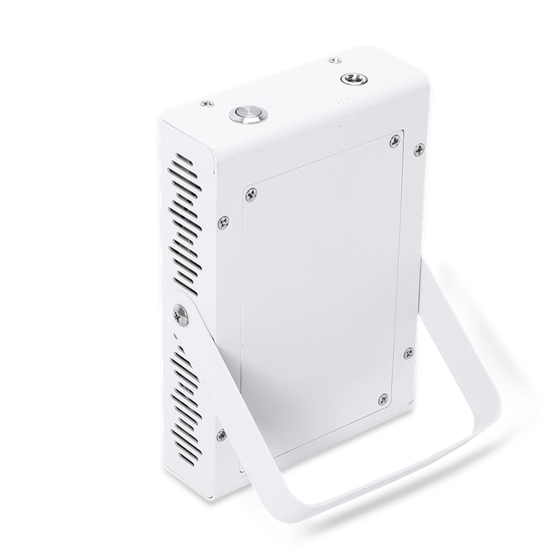 RD60 Bærbar Red Light Terapi Brug billig Red Light Terapi