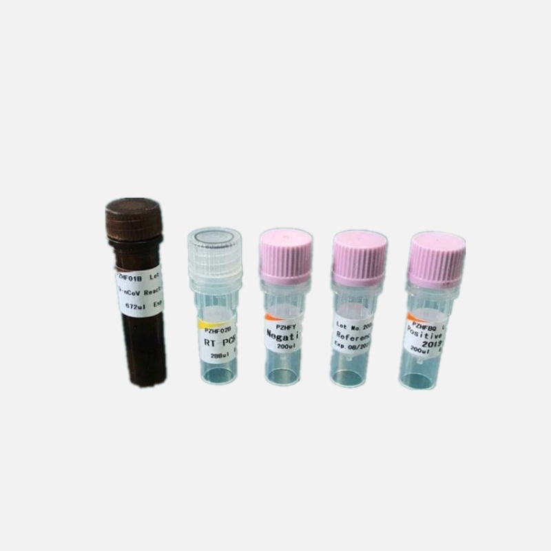 KAVID-19 RT-PCR Detection Kit