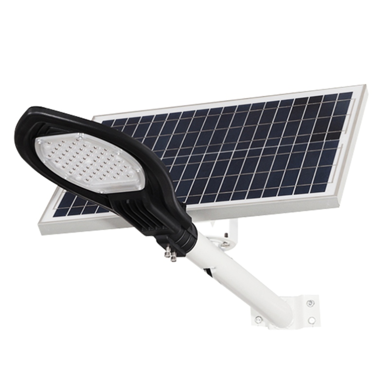 Sollampe 30w 50w 100w