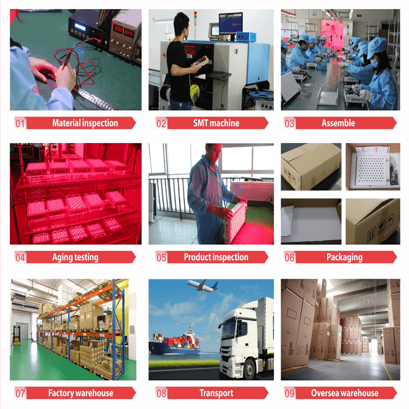 Rød LED-terapi lyser medicinsk udstyr FDA fremstillet i Kina fabrikken OEM ODM OBM