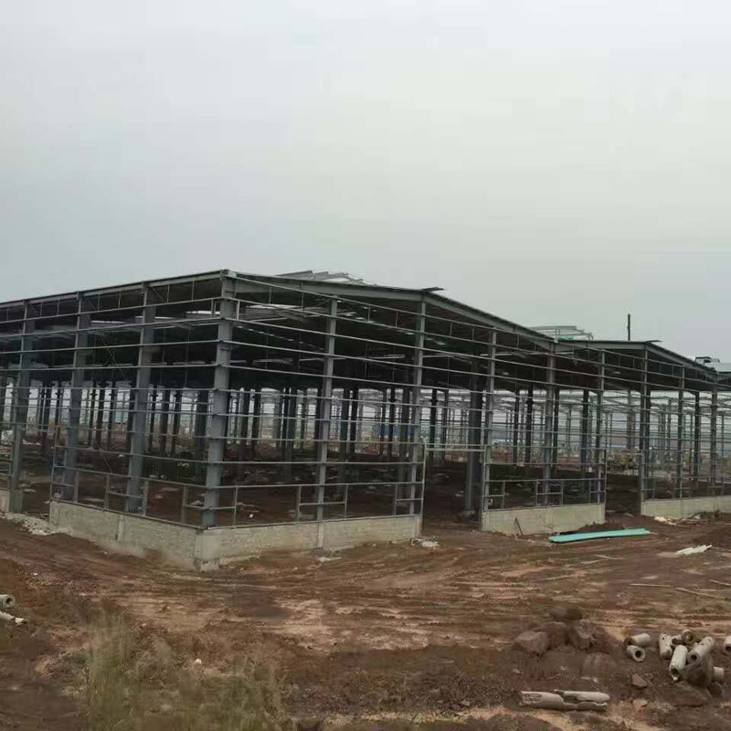 Eksport til Europa præfab Steel Structure Warehouse Bygninger i 100+ lande