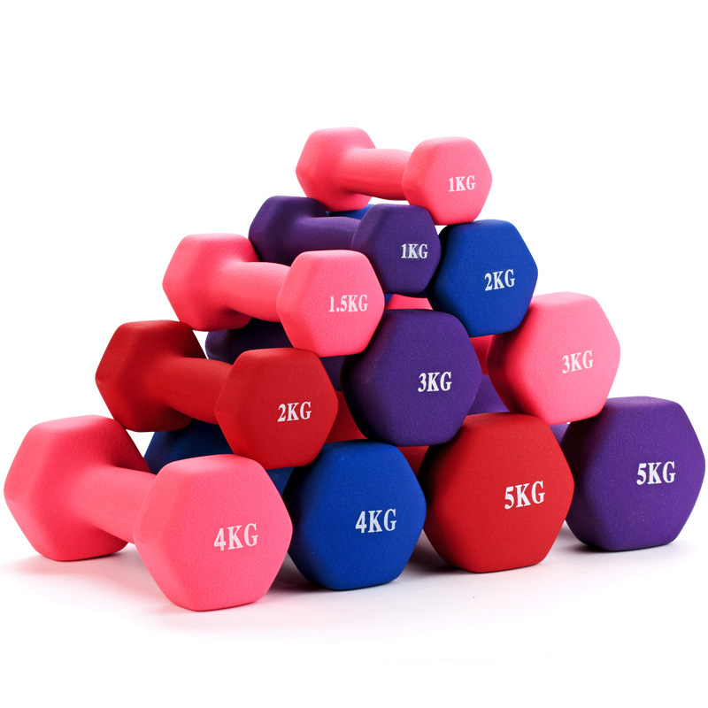Hot Selling Justerbar Husholdnings Fitness Chloropren Gummi Dumbbell