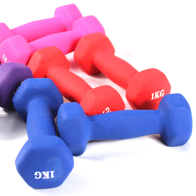 Vinyl Dumbbell Fitness Exercise Ladies Dumbbell