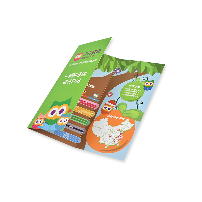 Tri-fold flyer (især)