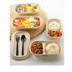 Oval takeaway fastfood kasser biologisk nedbrydelige bagasse mademballagebeholdere med klart dæksel