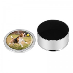 Metalurnen til hundeaske