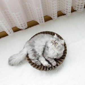 Solsikkepapir katte ridse reden