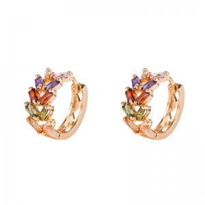 Europæisk og amerikansk mode personlighed blad messing micro-inlaid zircon øreringe kvindelige koreanske temperament øreringe metal kolde vind øreringe