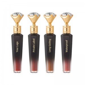 Ny materiale Lipgloss.