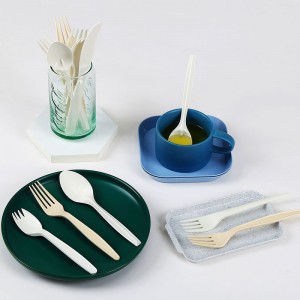 PLA Materiale Compostable Disposable Bordservice