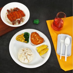 PLA Materiale Kompostabel Disposable Food Container