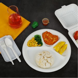 PLA Materiale Kompostabel Disposable Food Container
