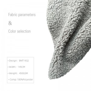 Teddy Fabric BNT1932.