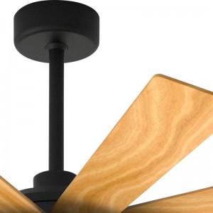 FAN LIGHT FL Z BS9631 52