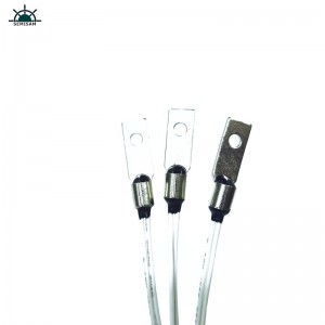 Kina Factory OEM Tilpas b Værdi 4050K 10k Ohm NTC Temperatur Temperaturføler til 3D Print Machine