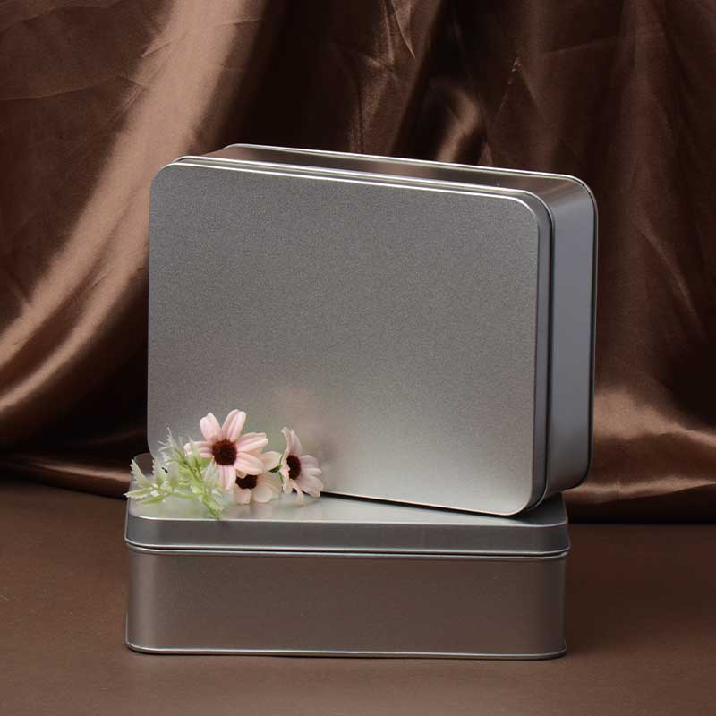 Frostet Metal Storage Box Bird \\ 's Nest Gift Packaging Tin Box 220 * 160 * 65mm
