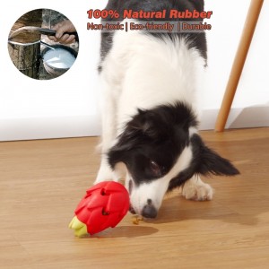 Hund bid resistent gummi legetøj