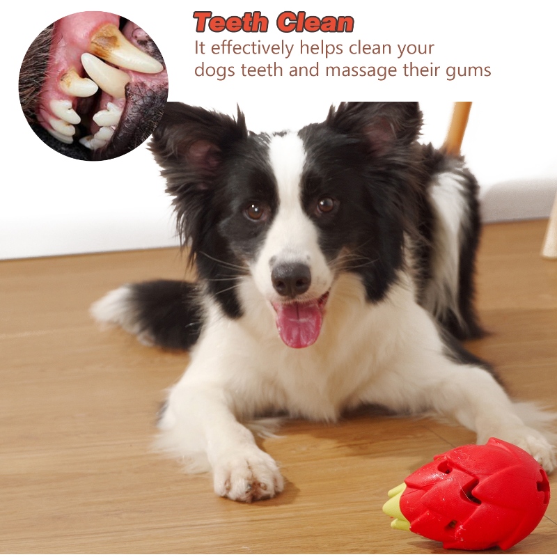 Hund bid resistent gummi legetøj