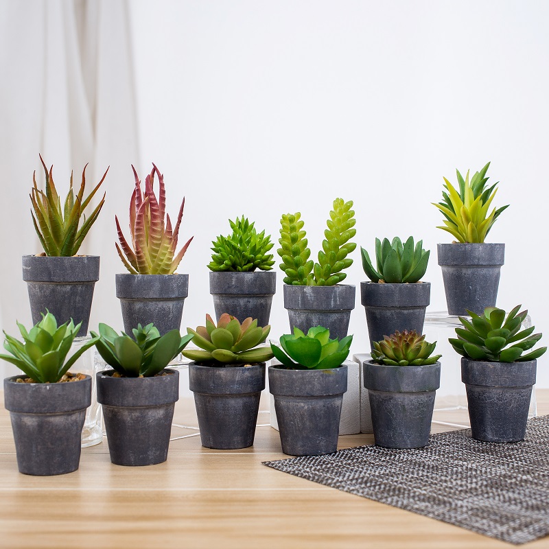Engrossalg Potted Artificial Succulent Plant