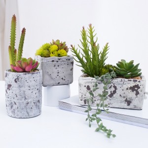 Nyligt designet pottet kunstig succulent plante Succulent i Cement Pot