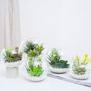 Potted Artificial Succulent i Glass Ware