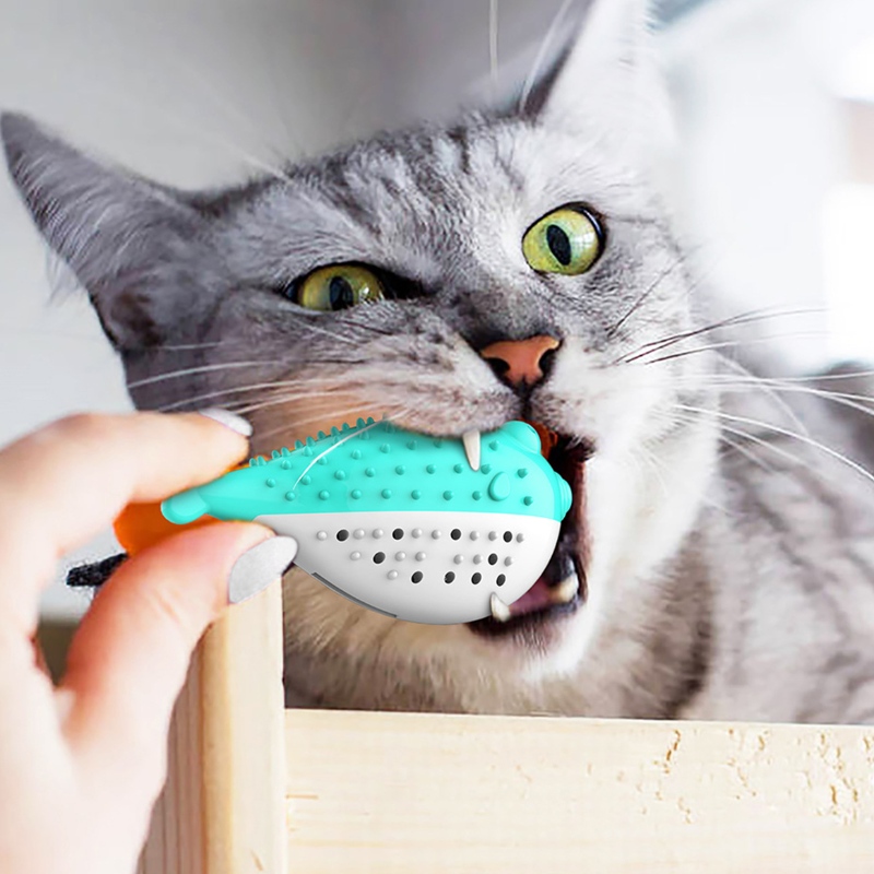 Furjoyz engros sjovt kæledyr legetøj tandbørste interaktive legetøj bærbar kat intelligent ren tænder gummi catnip cat legetøj