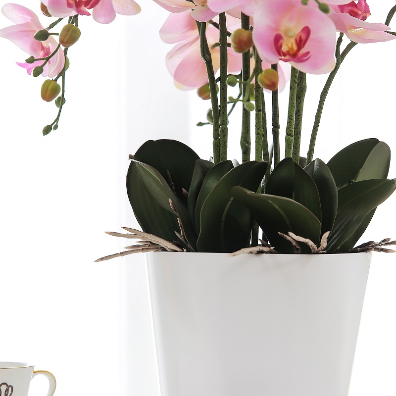Ægte berørt pottet kunstig orkidé til salg