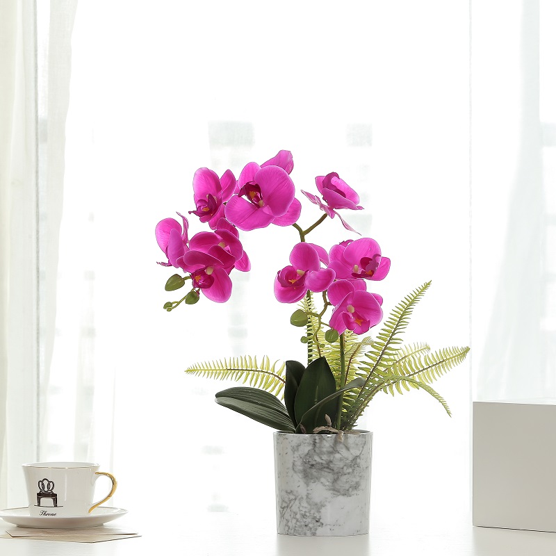 Hot Selling Red Potted Kunstig orkidé med høj kvalitet